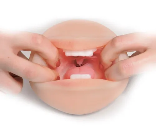 pipedream extreme toyz pet model to go kompaktowy model jamy ustnej 16,3 cm na Arena.pl