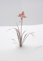 product-compare-59356746