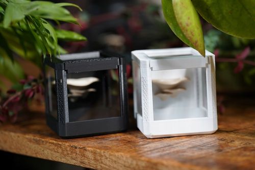 Terrarium szklane -6,5 x 6,5 x 6,5 dla pająka, modliszki, skakuna na Arena.pl