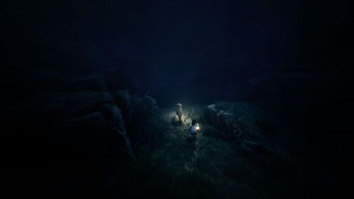 Gra PS5 PLAION REANIMAL - Edycja Deluxe na Arena.pl