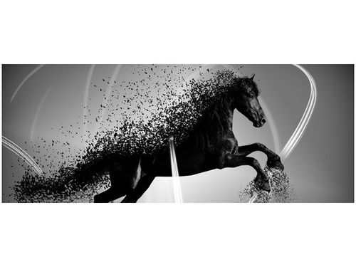 100X40CM CZARNO BIAŁY KOŃ GMENTARYZACJA JAKUB BANAŚ OBRAZ DREWNO na Arena.pl