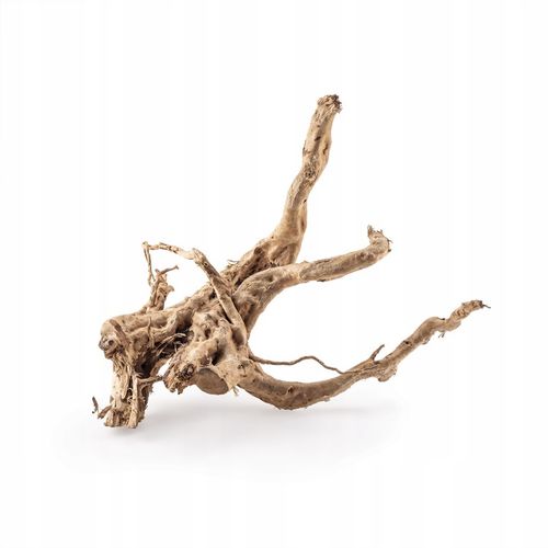 KORZEŃ DO AKWARIUM Red Moor Wood M 30cm OKAZY PREMIUM na Arena.pl