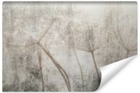 Fototapeta Do Salonu Nasiona Dmuchawca Styl Vintage Beton 135cm x 90cm