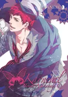 Przygodowa manga fantasy - akcja z elementami komedii - Karneval Tom 9