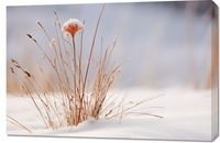 Obraz 90x60cm Zima w Detalach