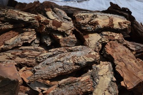 SUPER OZDOBNA Kora sosnowa ręcznie wybierana GRUBA na Arena.pl