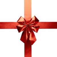 Kokarda Świąteczna Duża Kokardka Dekoracyjna Ozdobna na Drzwi Wejściowe