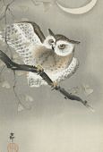 Plakat 67,5x100cm Long-Eared Owl 2, Koson Japoński Vintage do Salonu
