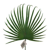 product-compare-61190954