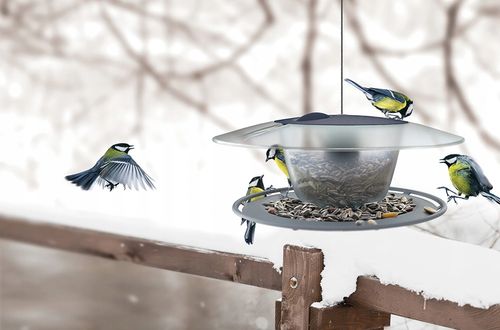 Karmnik dla ptaków - Birdyfeed Round na Arena.pl