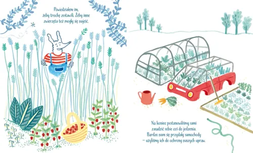 Lis, Sąsiad I Nasza Planeta na Arena.pl