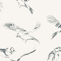 Tapeta Szkic Ptaki W119 250 cm płótno