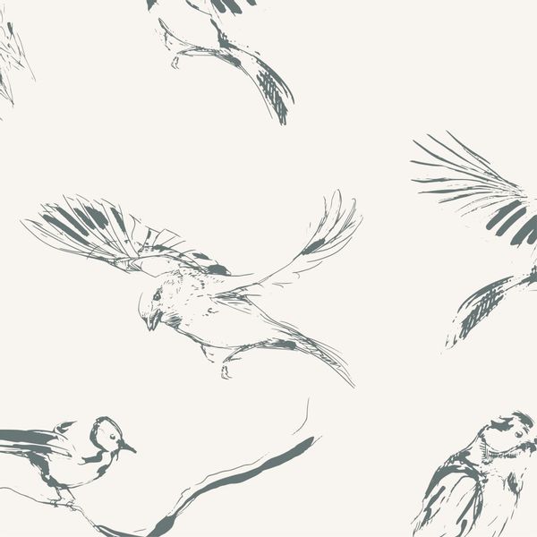 Tapeta Szkic Ptaki W119 250 cm płótno zdjęcie 1