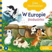 W Europie. Podwórko. Królik