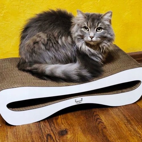 Drapak dla kota kartonowy 51x25x14 MONO ADELECAT DUŻY LEGOWISKO NISKI na Arena.pl