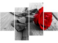 OBRAZ RED ROSE