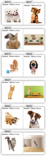 NAKLEJKA naklejki zwierzęta 120 cm koń psy koty na Arena.pl