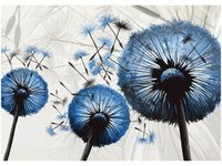 60CM 50CM OBRAZ ŚCIENNY DMUCHAWCE NIEBIESKIM KOLORZE DRUK PŁÓTNO