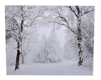 product-compare-55924711