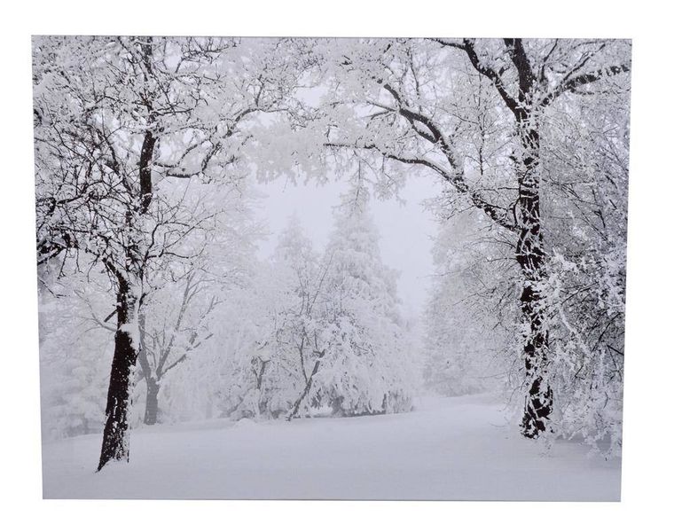 Obraz ośnieżony las zdjęcie 1