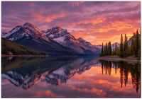 Fototapeta Na Flizelinie Do Sypialni Salonu Las 300x210