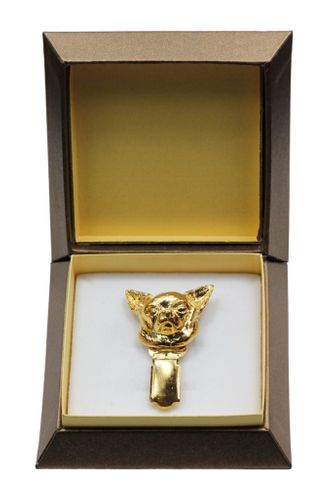 Chihuahua - klips - 2613 na Arena.pl