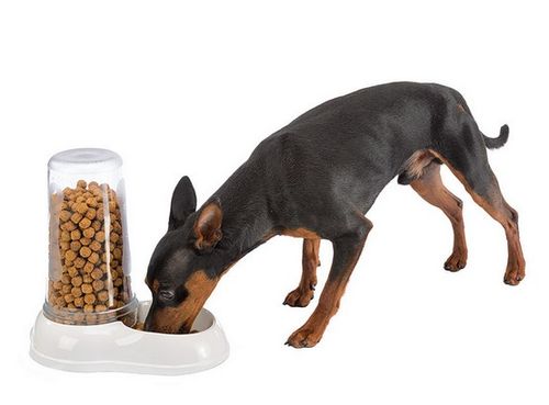 Ferplast Azimut 600 mix [71968099] na Arena.pl