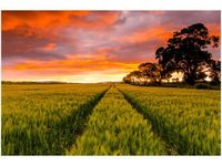 100 70CM OBRAZ PŁÓTNO FAR FAR AWAY JONATHAN COMBE PŁÓTNO RAMA