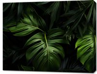 product-compare-59466820