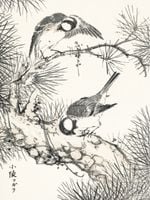 product-compare-59602639