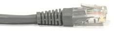 NETRACK CAT5e UTP 25m Szary 25 Patchcord na Arena.pl