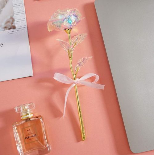 Wieczna róża tęczowa na Arena.pl