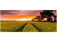 100X40CM FAR FAR AWAY JONATHAN COMBE OBRAZ DREWNO