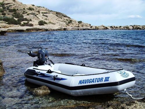 Ponton Viamare Navigator III na Arena.pl