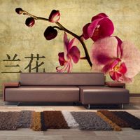 Fototapeta - Japanese orchid 450x270