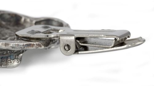 Labrador Retriever - klips - 307 na Arena.pl