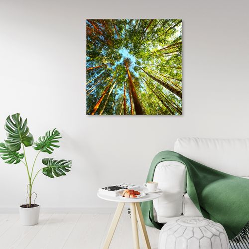 OBRAZ NA PŁÓTNIE DO SALONU Las Zielony na Arena.pl