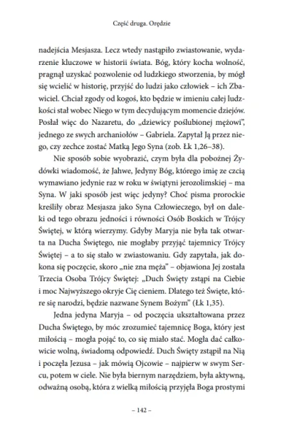 Sekret Medjugorie zdjęcie 11