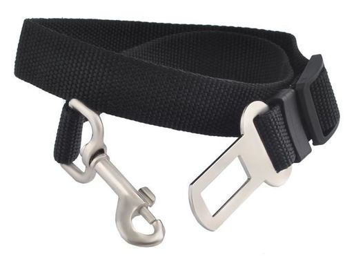 Pasy dla psa - smycz do samochodu na Arena.pl