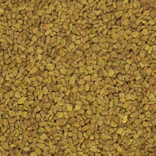 Kozieradka ziarno 500g na Arena.pl