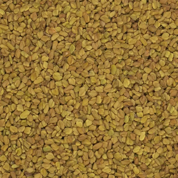 Kozieradka ziarno 500g zdjęcie 3