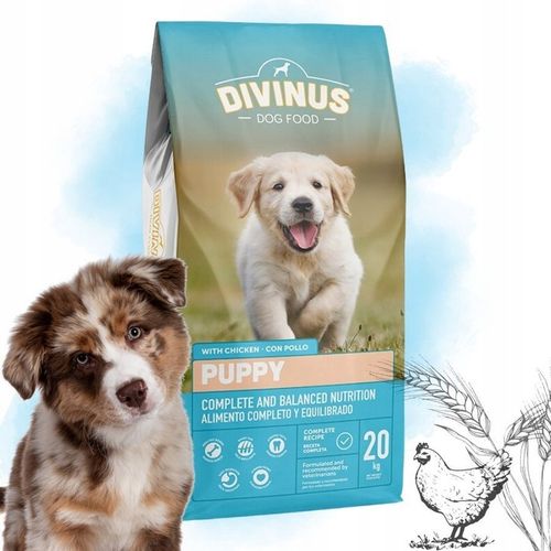 DIVINUS PUPPY Karma sucha dla szczeniąt owczarek labrador witaminy 20kg na Arena.pl