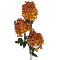 product-compare-61190740