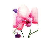 product-compare-58649120