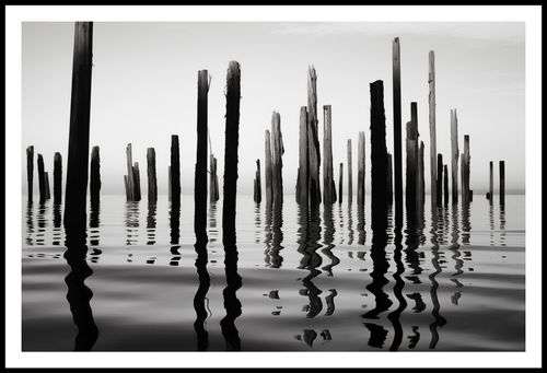 Plakat 91,5x60cm Refleksje Nad Wodą na Arena.pl