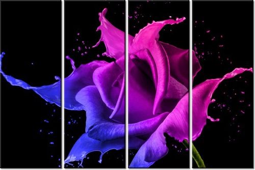 120CM 80 OBRAZ 4 ELEM RÓŻA FARB JAKUB BANAŚ ŚCIENNY na Arena.pl