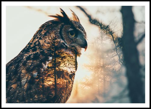 Plakat 100x70cm Sowi Duch na Arena.pl