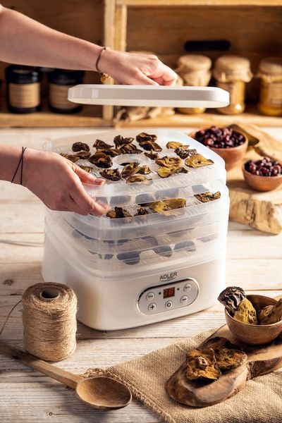 SUSZARKA DO GRZYBÓW 550W OWOCÓW WARZYW ZIÓŁ 5 SIT Z WYŚWIETLACZEM LED zdjęcie 4