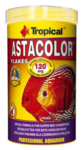 Tropical ASTACOLOR 500ml na Arena.pl