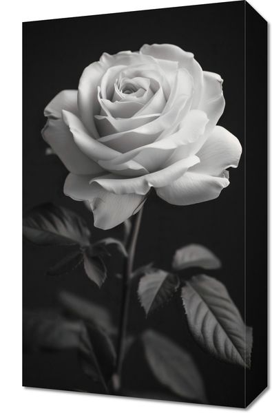 Obraz 30x50cm Płatki Róż zdjęcie 1